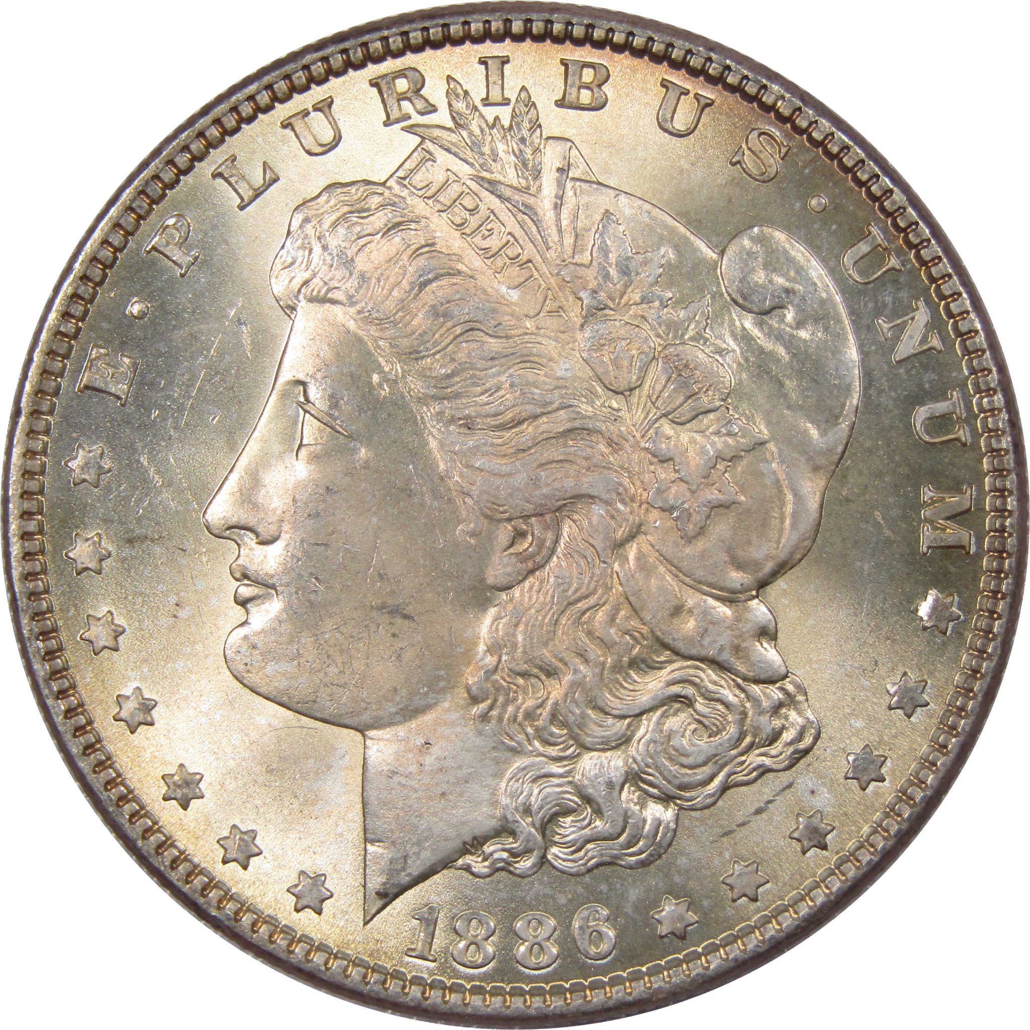 1886 Morgan Dollar Gem Uncirculated Mint State Silver Toned SKU:I1226