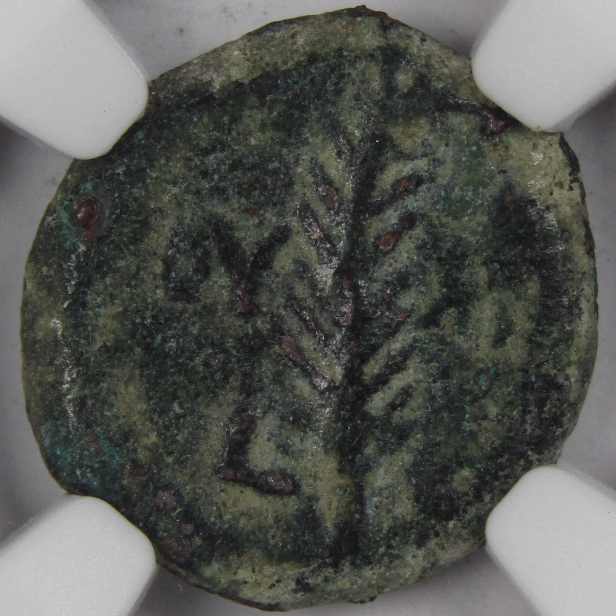 AD 15-26 ValeriGratPrutah Wreath Palm Branch VF NGC Ancient SKU:I1975